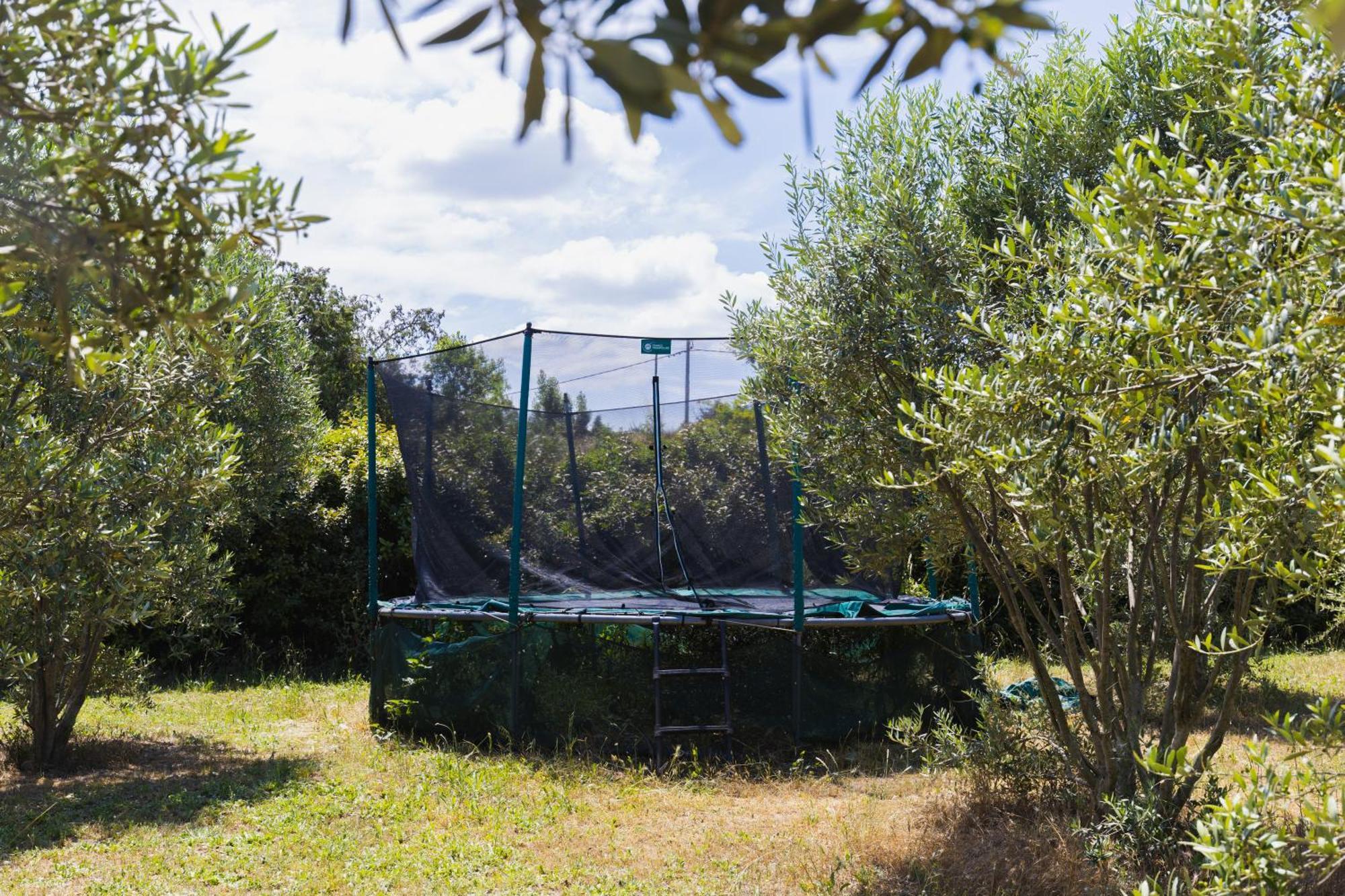 Gite Petit Luberon Chez Manon En Luberon - Vacation Rental In Guest House Lagnes Exterior photo